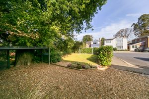 Front Garden- click for photo gallery